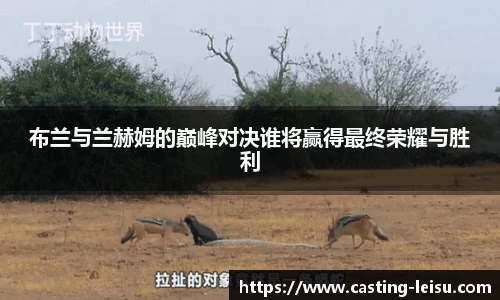 雷速体育直播