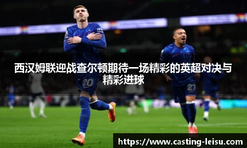 雷速体育比分