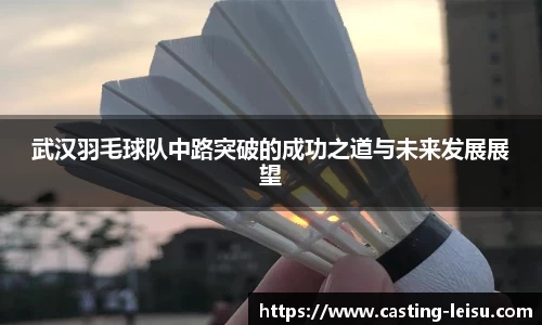 雷速体育比分
